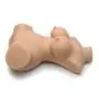 THRUST Pro Elite Alicia Realistic Vagina, Ass and Tits Masturbator 7.5kg