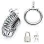 DOMINIX Deluxe Chastity Cock Cage