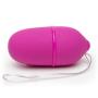 Worldgirl Thrill Seeker 10 Function Remote Control Love Egg Vibrator