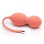 We-Vibe Bloom Rechargeable App Control Vibrating Kegel Balls