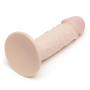 Lifelike Lover Basic Realistic Suction Cup Dildo 6 Inch