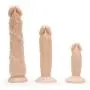Realistic Suction Cup Dildo Anal Training Set