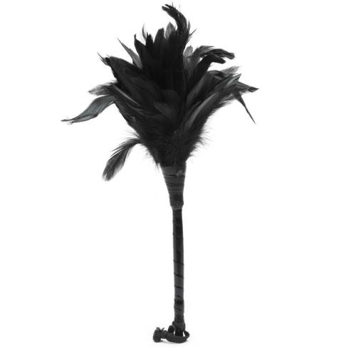 Fetish Fantasy Frisky Black Feather Tickler Fetish Fantasy Frisky Black Feather Tickler