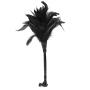 Fetish Fantasy Frisky Black Feather Tickler Fetish Fantasy Frisky Black Feather Tickler