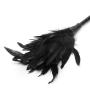 Fetish Fantasy Frisky Black Feather Tickler Fetish Fantasy Frisky Black Feather Tickler