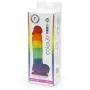 Rainbow Silicone Realistic Suction Cup Dildo with Balls 5 Inch