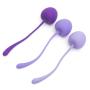 Annabelle Knight OMG! Kegel Exercise Set