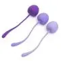 Annabelle Knight OMG! Kegel Exercise Set Annabelle Knight OMG! Kegel Exercise Set