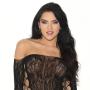 iCollection Off The Shoulder Lace Mini Dress