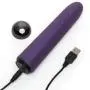 Desire Luxury Rechargeable Classic Vibrator
