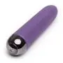 Desire Luxury Rechargeable Mini Vibrator