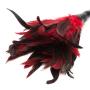 Fetish Fantasy Frisky Red Feather Tickler