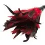 Fetish Fantasy Frisky Red Feather Tickler Fetish Fantasy Frisky Red Feather Tickler