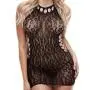Lapdance Black Leopard Lace Mini Dress Lapdance Black Leopard Lace Mini Dress