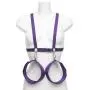 Purple Reins Body Harness with Wrist and Thigh Restraint
