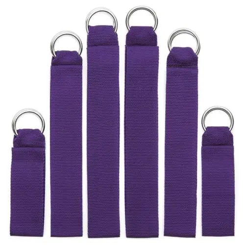 Purple Reins Bondage Straps (6 Pieces) Purple Reins Bondage Straps (6 Pieces)