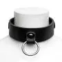 DOMINIX Deluxe Leather Collar with Detachable Flogger