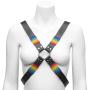 Bondage Boutique Rainbow and Leather Harness