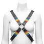 Bondage Boutique Rainbow and Leather Harness Bondage Boutique Rainbow and Leather Harness