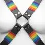Bondage Boutique Rainbow and Leather Harness Bondage Boutique Rainbow and Leather Harness