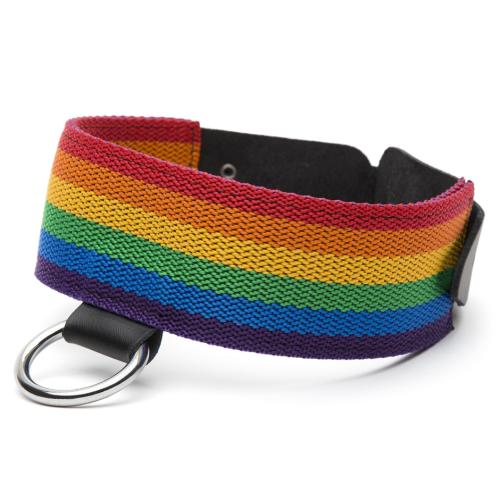 Bondage Boutique Rainbow and Leather Collar Bondage Boutique Rainbow and Leather Collar