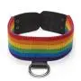 Bondage Boutique Rainbow and Leather Collar