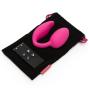 Wonderlove Remote Control Vibrating Egg with Clitoral Stimulator